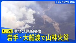 【空撮ライブ】岩手・大船渡で山林火災 平成以降に発生した山林火災で国内最大に(2025年2月28日)|TBS NEWS DIG