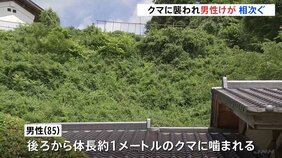 栃木・那須塩原市でクマ被害相次ぐ　庭の手入れ中の男性(85)が後ろからかまれ軽傷　別の男性(77)も襲われる|TBS NEWS DIG