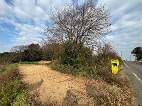 【クマ出没情報】小学校前の柿の木の下に熊　1日から2日未明にかけ目撃相次ぐ　福島・須賀川市仁井田|TBS NEWS DIG