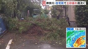 【台風情報】横浜市で崖崩れ土砂と倒れた木が道路をふさぐ 横須賀市で「64歳の女性が生き埋めの可能性」との通報も|TBS NEWS DIG