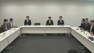 選挙期間中のSNS対策法案、AI画像投稿に表示義務付けなどの要綱で与野党が合意　来週にも国会提出へ| TBS CROSS DIG with Bloomberg