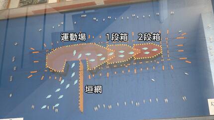 定置網にクジラ“2頭”迷い込む…体長10m、漁師は「2頭が入ったことは無い