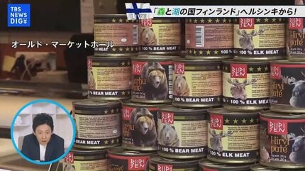 北欧フィンランドの首都ヘルシンキってどんなところ？さあ、一緒に街を