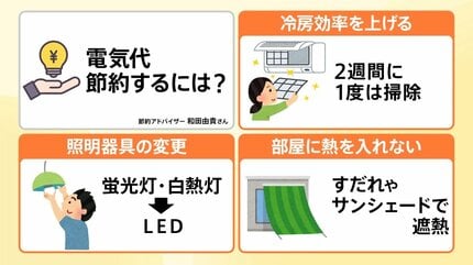 節約様 7点おまとめ Myojo 2025年7月増刊 ちっこいMyojo | 明星編集 |本 | 通販 | Amazon