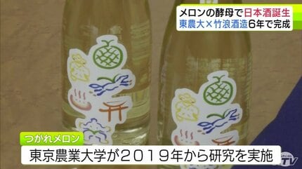 メロンから採取した酵母を使った日本酒「つがれメロン」6年の歳月を