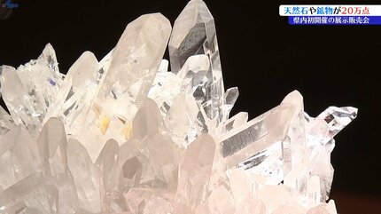 岩手県内初開催 天然石や化石の展示販売会 第1回岩手ミネラルマルシェ