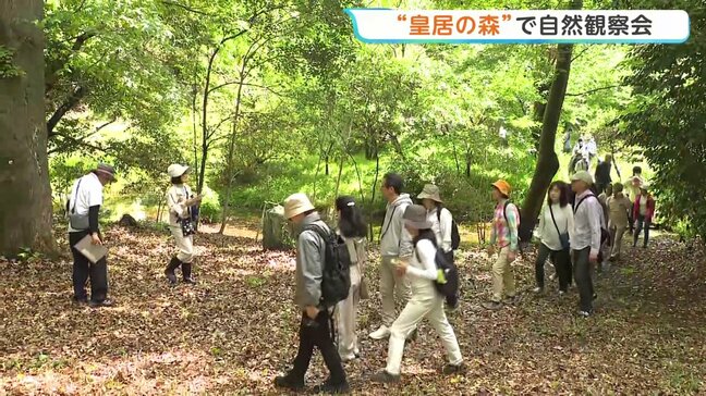 東京都心の“皇居の森”で「自然観察会」　絶滅危惧種含む約8000種がこれまで確認　豊かな自然の中散策楽しむ|TBS NEWS DIG