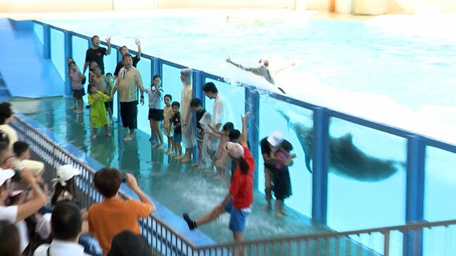イルカの尾ひれで大量の水しぶきを浴びる！夏休みの暑さを吹き飛ばすイベントを開催＝静岡・沼津市|TBS NEWS DIG