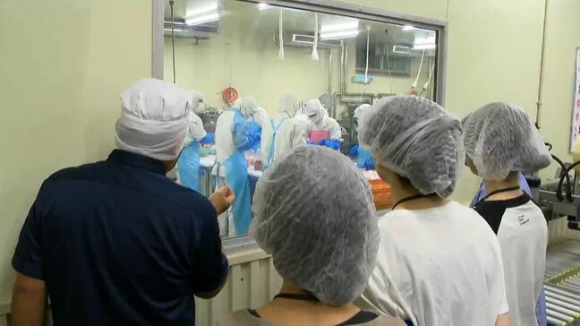 8月は「食品衛生月間」鹿児島市民が食品加工場など視察　暑い時期に増える食中毒　防ぐにはどうすればいいの？|TBS NEWS DIG