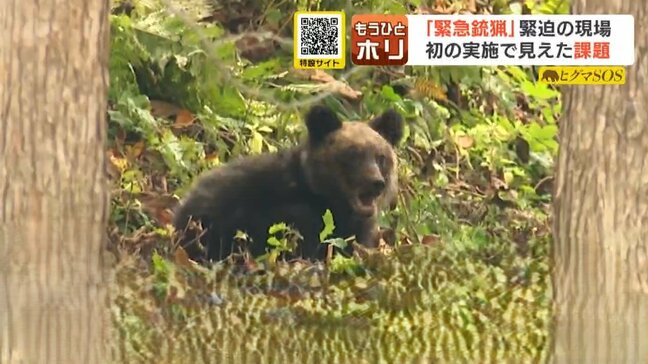 北海道初の「緊急銃猟」で子グマ2頭駆除　札幌の住宅街で緊迫の2時間　見えてきた課題…クマ対策には市民協力が不可欠　自衛隊派遣要請の必要性は|TBS NEWS DIG