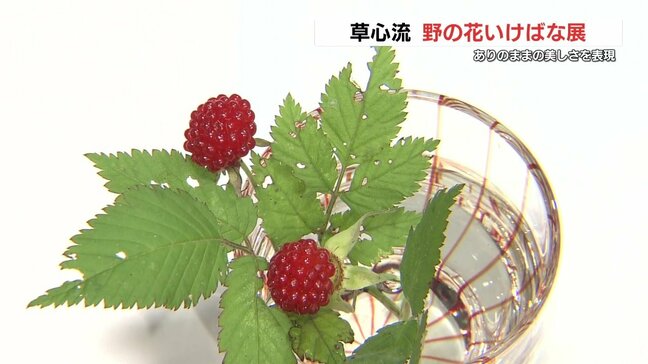 身近な野の花で生け花を 草心流50周年の展示会 熊本|TBS NEWS DIG