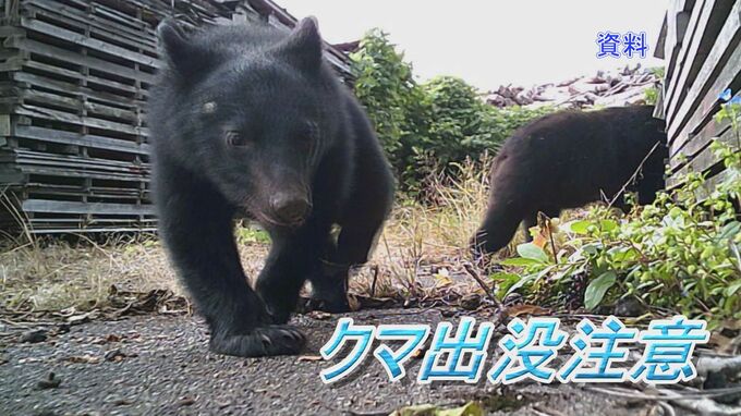 【クマ出没情報】クマ1頭目撃ほか各地で柿の木の枝折れや足跡など痕跡多数　富山|TBS NEWS DIG