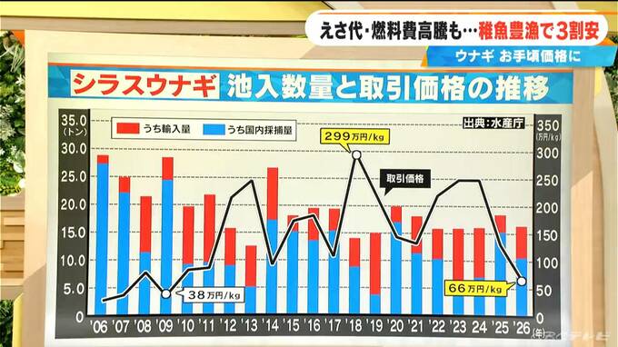 ことしはウナギが“お手頃価格” シラスウナギ豊漁が背景に 話題の“完全養殖ウナギ” 生産コストはどうなっている？|TBS NEWS DIG