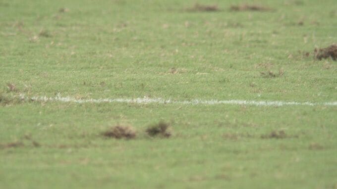 エディオンピースウイングの芝が荒れる　猛暑などが原因か　仙田社長「芝の設定自体では選手のけがにつながる可能性が… しっかり対応を相談したい」　|　RCC NEWS | 広島ニュース | RCC中国放送