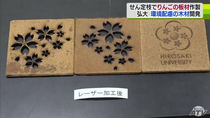 「感興に優しい木材ができた」リンゴせん定枝を板材に再生成功　弘前大学の研究実る　青森県|TBS NEWS DIG