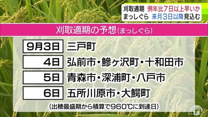 青森県が「イネ」の刈取適期を発表　7～8月にかけて気温が高めに推移で例年よりも7日以上早まるか|TBS NEWS DIG
