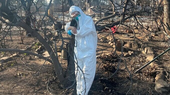 水原希子さん　家が全焼「言葉を失う、とはまさにこの事かな」LA山火事で被害|TBS NEWS DIG