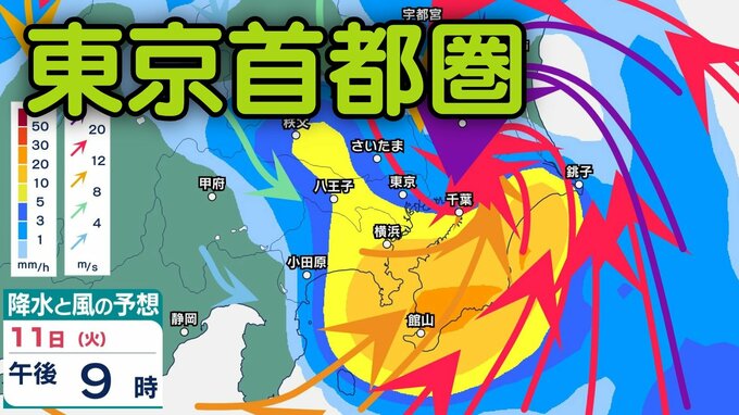 【東京首都圏】「台風15号」の影響は？「東京・神奈川・千葉・埼玉・茨城」お盆期間13日（木）にかけて1時間ごと雨・風シミュレーション【気象庁10日午後4時37分発表】|TBS NEWS DIG
