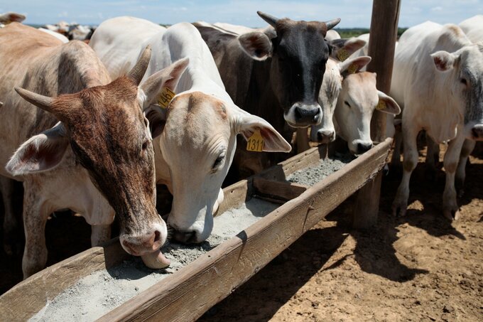 ブラジル、対EU食肉輸出禁止の回避で対応急ぐ－貿易額3000億円規模