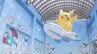 3連休最終日 石川県・能登各地のポケモンスポットは多くの家族連れで賑わう「ポケモン空港」のグッズも大盛況　|　石川県のニュース｜MRO北陸放送