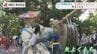 380年以上の歴史「矢上くんち」長崎市の矢上神社　|　長崎のニュース | 天気 | NBC長崎放送