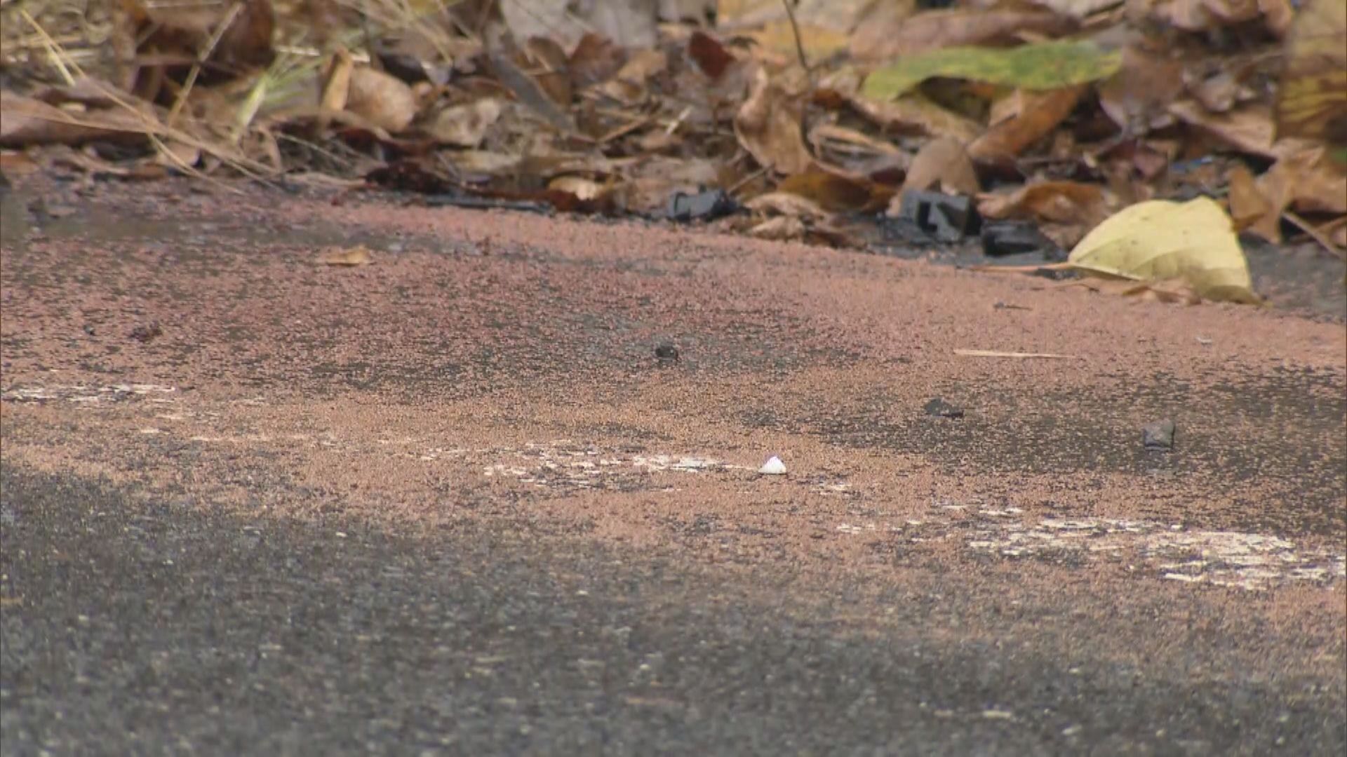 男性（79）の運転する車がコンクリート塀に正面衝突する単独事故　助手席の元妻（80）死亡　男性も重傷