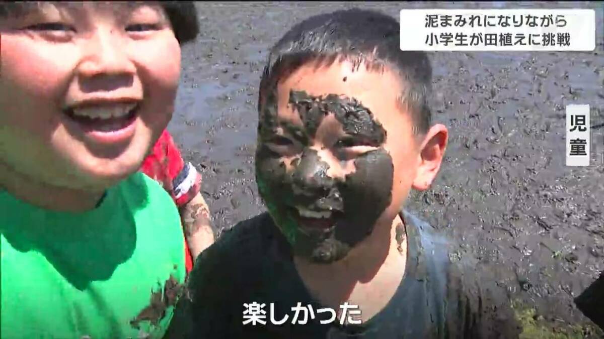 田んぼの感触は「ぶにぶに」小学生が泥まみれになって田植え 宮城