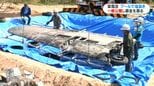海軍戦闘機「紫電改」塩抜きプールを今後一般公開　1年後の展示を目指して|TBS NEWS DIG