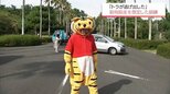 地震でトラが逃げ出した想定　宮崎市フェニックス自然動物園で避難誘導と捕獲の訓練　|　MRTニュース ｜ ＭＲＴ宮崎放送