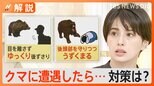 クマに遭遇したら「大声出さない」「ゆっくり後ずさり」「後頭部を守ってうずくまる」【Nスタ解説】|TBS NEWS DIG