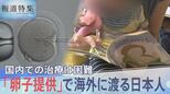 「卵子提供」国内で進まない理由は? “似ていない”兄弟と指摘され…出産後も親が抱える不安【報道特集】|TBS NEWS DIG
