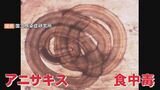 寄生虫「アニサキス」による食中毒 鮮魚店で買ったサバ・アジ・キスの刺身食べ 鳥取県で今年10例目|TBS NEWS DIG