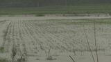 石川・能登地方の記録的大雨 道路の崩落など被害相次ぐ|TBS NEWS DIG