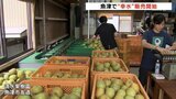 みずみずしい旬の味  県内最古の梨の産地「魚津の幸水」庭先販売 富山|TBS NEWS DIG