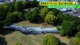 富士山の麓に巨大地上絵　助け合いや連携の思い込め　世界的アーティスト描く＝静岡|TBS NEWS DIG