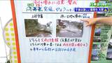 “大雨注意報”は2種類 紛らわしい同じ名前の注意報が来年変わる | 宮城のニュース│tbc NEWS│tbc東北放送