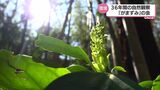 自然の観察会通じ環境守る大切さ訴え MRT環境賞・優秀賞受賞「自然観察グループ『がまずみ』の会」 | MRTニュース | MRT宮崎放送
