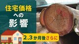 円安が「ウッドショック」に追い打ち 輸入木材“さらなる価格上昇”も|TBS NEWS DIG
