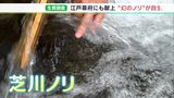 「水量が昔と比べ減っている」絶滅危惧種“幻の海苔”芝川ノリを守れ!かつて幕府や朝廷に献上 | 静岡のニュース | SBSNEWS | 静岡放送