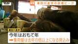 えぐみが少なく、みずみずしい！ 飛ぶように売れる湯田川孟宗の収穫がピーク　今年は豊作の「おもて年」（山形・鶴岡市）　　|　山形のニュース│TUYテレビユー山形