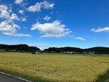 トラックに乗せようとして逃走…肉牛1頭、行方不明に 警察が注意呼びかけ 福島・白河市の牛舎 | 福島のニュース│TUF