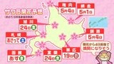 【開花情報】17日函館、18日札幌で開花も…札幌は連日10℃超えの暖かさ、花見計画はお早めに　黄砂や花粉にも注意|TBS NEWS DIG
