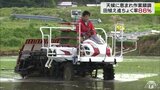天候に恵まれて田植え順調　青森県の進ちょく率８６％|TBS NEWS DIG