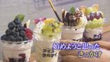 秋の夜長に夜アイス!いまこそ…飲み会のシメに新しい提案「こんな店あったらいいな」で実現した店も 富山|TBS NEWS DIG