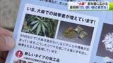 大麻は“薬物の入り口”青森県内でも30代の若年層に広がる「甘い誘い断る勇気を」街頭キャンペーンで乱用防止訴える|TBS NEWS DIG