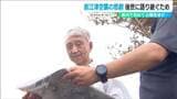 「事実は皆無」と隠された真実 新潟県で初の犠牲者が出た『直江津空襲』の記憶、語り継ぐ86歳男性「平和を考えるよすがに」 新潟・上越市|TBS NEWS DIG