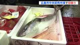 競り人のかけ声が響き 広島市中央卸売市場で初競り　瀬戸内海近郊で捕れた新鮮な魚介類が次々と　|　RCC NEWS | 広島ニュース | RCC中国放送