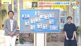 【あす8/8(金)広島天気 】晴れ間あるも雲優勢の一日 引き続き大気の状態不安定 広範囲でにわか雨の可能性 |TBS NEWS DIG
