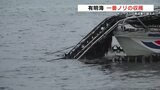 昨シーズンの寒波乗り越えノリの初摘み|TBS NEWS DIG