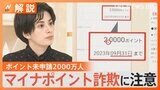 マイナポイントめぐる“詐欺メール”横行　期限迫る中「焦って入力してしまった」　総務省が注意呼びかけ【Nスタ解説】|TBS NEWS DIG